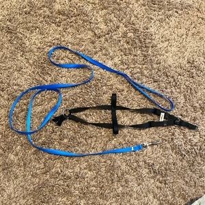 Small animal harness and leash